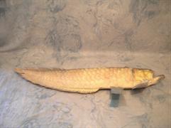 Arowana