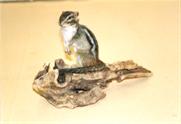 Chipmunk