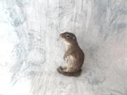 Ground Squirrel