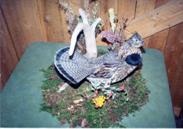 Grouse