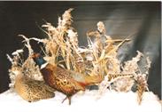 Two Pheasants