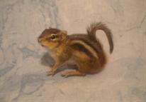 Chipmunk